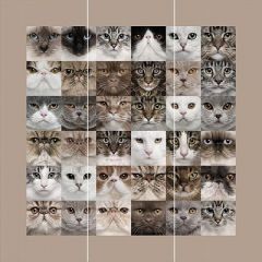 Панно Loymina Illusion vol. II Animals 3х3 м (DA 001) м2